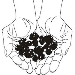 Ifá Divination
